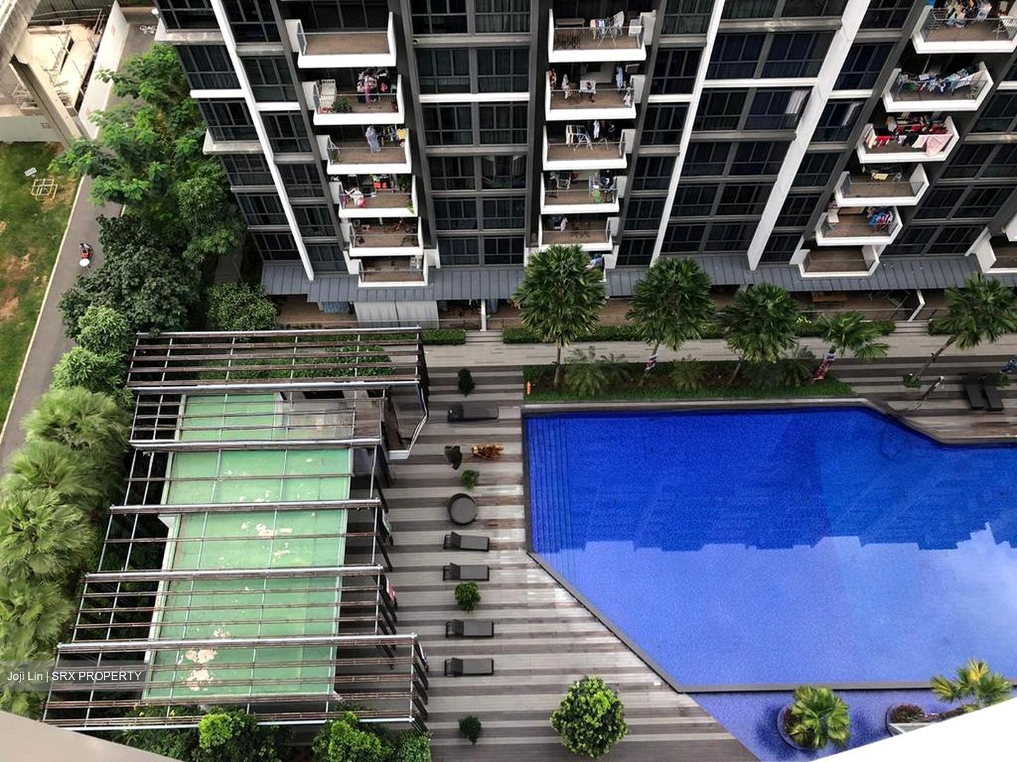 La Fiesta (D19), Condominium #503182251